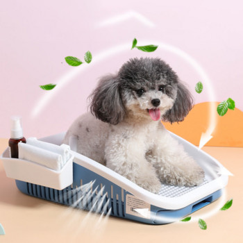 2021 Най-новите консумативи за домашни любимци за животни НОВА Преносима тоалетна за кучета Пластмасова двуслойна подложка за кучета Обучение на котка Кученце Пикаеща тоалетна