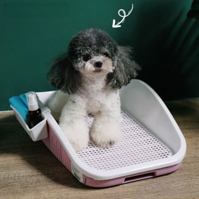 2021 Най-новите консумативи за домашни любимци за животни НОВА Преносима тоалетна за кучета Пластмасова двуслойна подложка за кучета Обучение на котка Кученце Пикаеща тоалетна