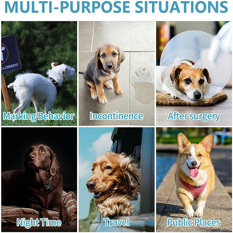 Super upijajuće fiziološke hlače Pelene za pse za pse Jednokratne nepropusne pelene za kućne ljubimce Malo štene Muški pas 10 KOM/pak.