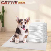 100gab. Super Absorbents Mājdzīvnieku autiņbiksīšu suņu apmācības urinēšanas spilventiņi Vienreizējās lietošanas autiņbiksīšu paklājiņš Suņu kaķu tīrīšanas dezodorants autiņbiksīšu iemērcēji