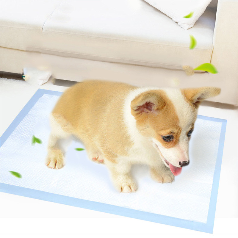 10 komada jednokratnih jastučića za pelene za pse Super upijajuće pelene za kućne ljubimce za pse, mačke Puppy mascotas Proizvodi Dodaci couche chien