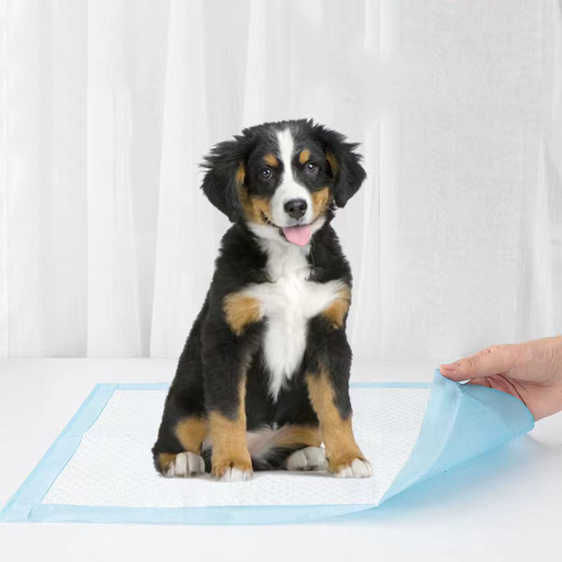 Mačke, psi, pribor za kućne ljubimce, jastučići za dresuru pasa, super upijajuće pelene za kućne ljubimce, jednokratna zdrava, čista pelena, kavez za kućne ljubimce, pribor za pelene