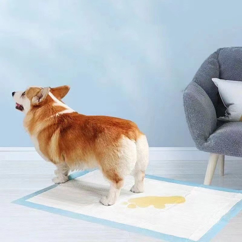 Mačke, psi, pribor za kućne ljubimce, jastučići za dresuru pasa, super upijajuće pelene za kućne ljubimce, jednokratna zdrava, čista pelena, kavez za kućne ljubimce, pribor za pelene