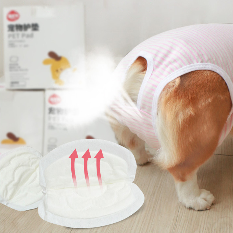 30gab Suņu autiņbiksītes Absorbējošas Biksītes suņiem Vienreizējās lietošanas Suņu Autiņbiksītes Ērtas Mājdzīvnieku Paliktņi Vīriešu Sieviešu Suņu Sanitārās Bikses