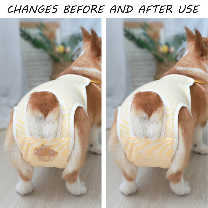30gab Suņu autiņbiksītes Absorbējošas Biksītes suņiem Vienreizējās lietošanas Suņu Autiņbiksītes Ērtas Mājdzīvnieku Paliktņi Vīriešu Sieviešu Suņu Sanitārās Bikses