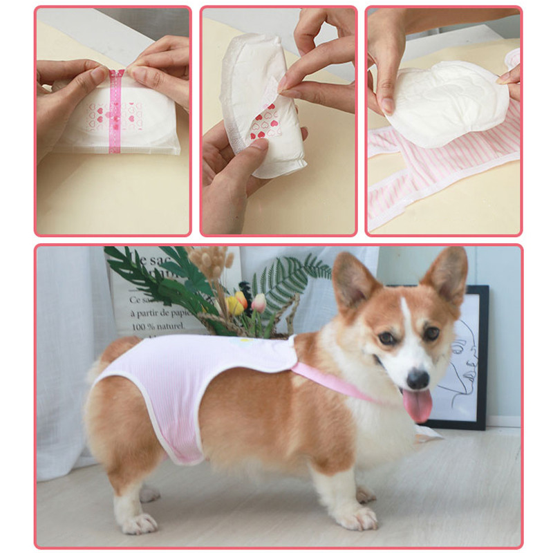 30gab Suņu autiņbiksītes Absorbējošas Biksītes suņiem Vienreizējās lietošanas Suņu Autiņbiksītes Ērtas Mājdzīvnieku Paliktņi Vīriešu Sieviešu Suņu Sanitārās Bikses