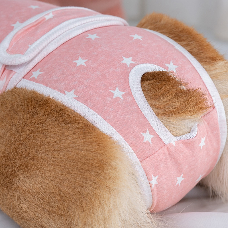 Suņi Autiņbiksītes Fizioloģiskās Bikses Biksītes Apakšveļa Drošība Sievietēm Mājdzīvnieku Produkts Unisex kucēnu apģērbi Šorti Suņu apmācības paliktņi