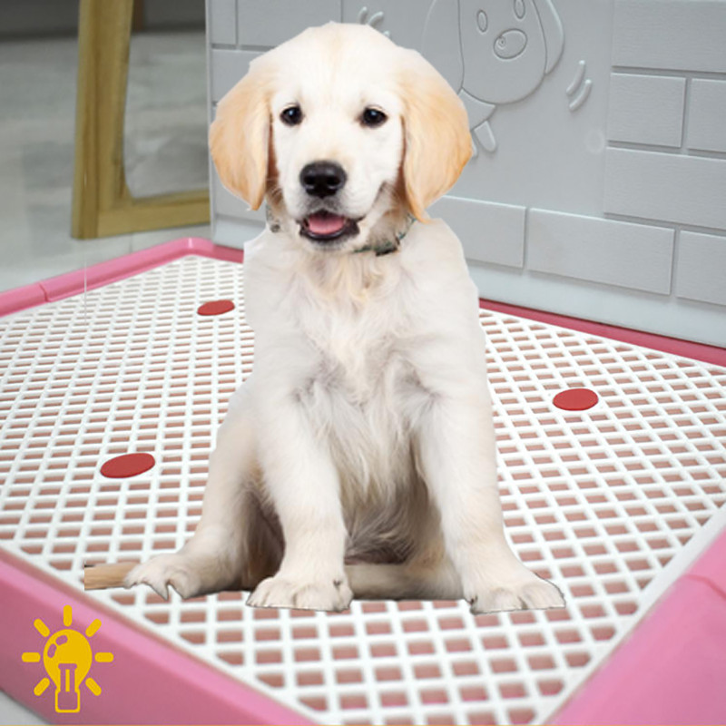 Lolojumdzīvnieku suņu kaķu apmācība Tualetes paplātes paklājiņš iekštelpu režģis kucēns urinēšanas paliktnis Piederumi maziem suņiem Kaķi Mājdzīvnieku produkti Mājsaimniecība