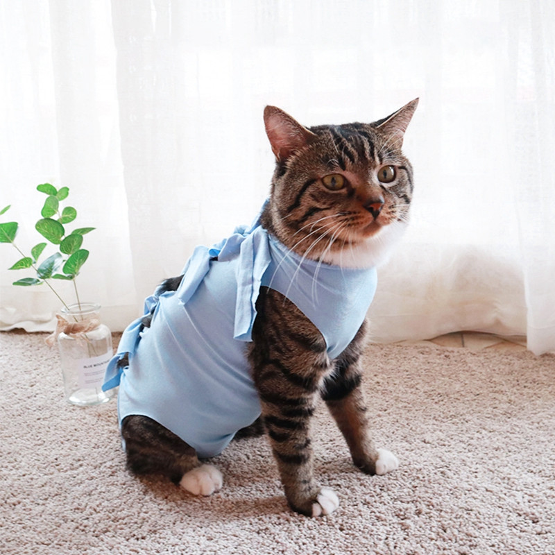 Slatko odijelo za oporavak kućnih ljubimaca Prozračna odjeća za operacije mačaka Rastezljiva majica za rehabilitaciju štenaca Od dojenja Odjeća za kućne ljubimce protiv lizanja