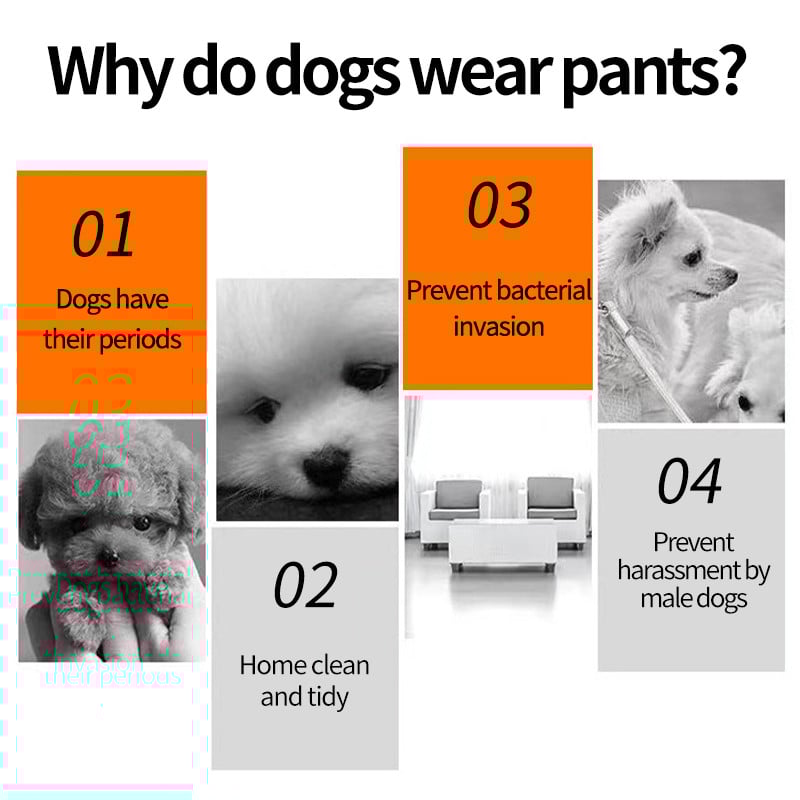 Pelene za pse Pse Pamučne fiziološke hlače Pelene za pse Sanitarne perive Gaćice za kućne ljubimce Prozračne pelene Donje rublje Oprema za kućne ljubimce