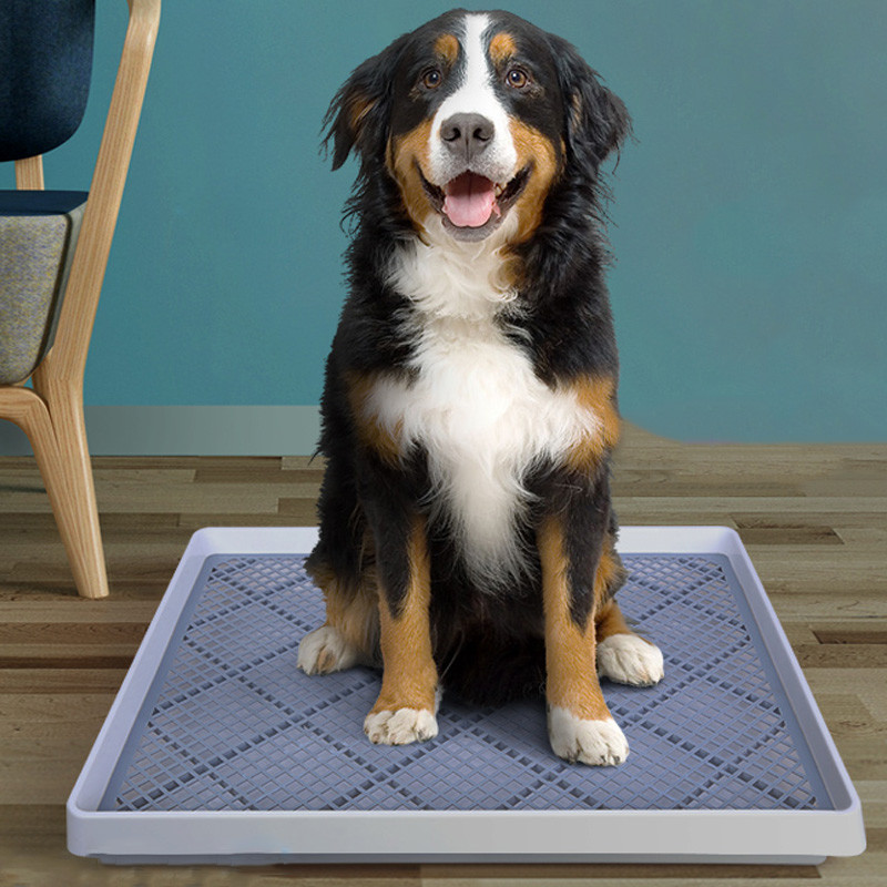 Noņemama Pet Toliet apmācības plastmasa ar stabu tualetes paklājiņu suņu paliktņu paliktnis tualetes trenažieris mājdzīvnieku tīrīšanas piederumi