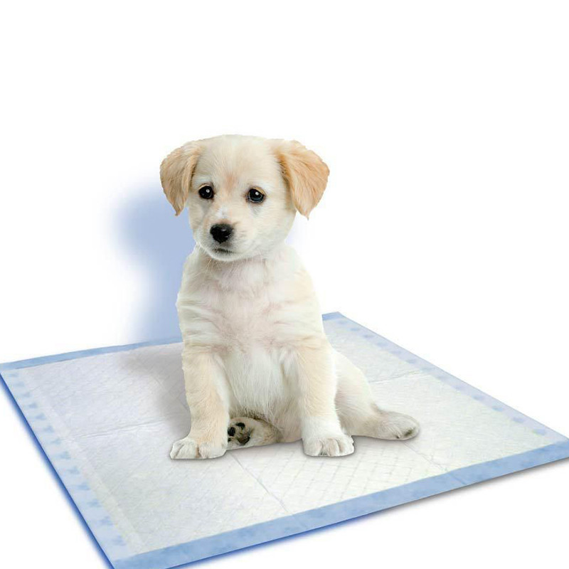 S/M/L/XL 10GAB Lieliski uzsūcoši kaķu suņu autiņbiksīšu paliktņi maziem vidēji lieliem suņiem Mīkstas mājdzīvnieku autiņbiksītes necaurlaidīgas aksesuāri maskotas