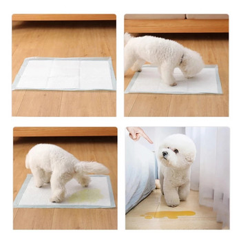 20Pcs Pet Diapers Super Absorbent Dog Urine Pad Diapers for Puppy Cleaning Deodorant Diapers Dog Pee Pad Rabbit Pet Supplies