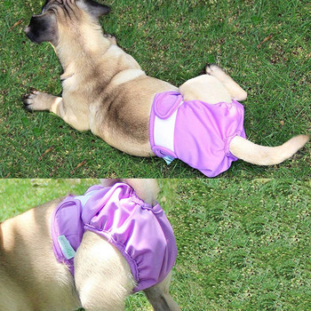 Πλένεται θηλυκό σκυλί Φυσιολογικό παντελόνι Πάνα υγιεινής Εσώρουχα για σκύλους για κατοικίδια Σορτς εσώρουχα για μικρούς και μεγάλους σκύλους