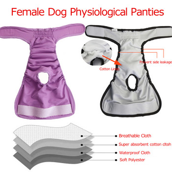 Перящи се женски кучета Физиологични панталони Пелена Санитарни гащички Домашни кучета Гащички за домашни любимци Къси бельо Гащички за малки и големи кучета