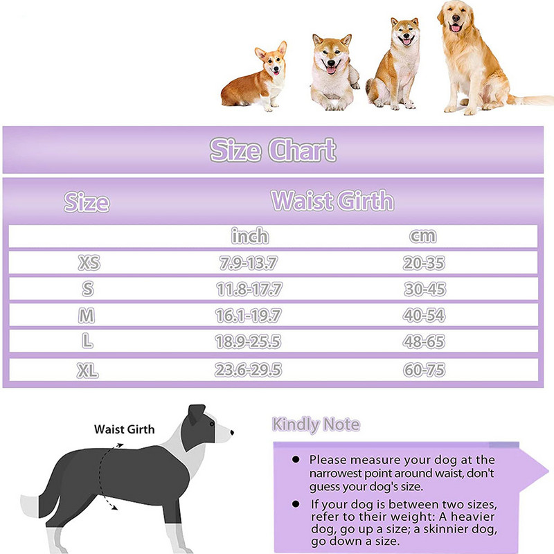 Pelene za pse koje se mogu prati za pse Donje rublje za kućne ljubimce Fiziološke higijenske kratke hlače Izdržljive gaćice za pse za male srednje velike pse