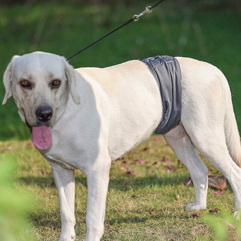 Πάνες για αρσενικούς σκύλους που πλένονται επαναχρησιμοποιούμενες Dog Belly Bands Comfy Doggie Diaper Dog Male Wraps Dog Belly Wrap πάνες για αρσενικούς σκύλους GQ