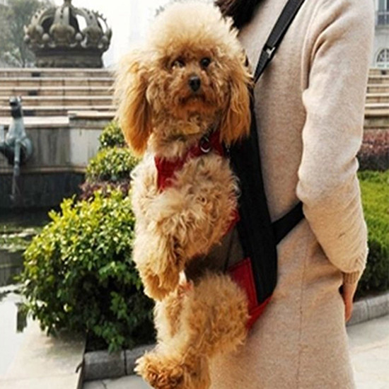 Kućni ljubimci, psi, mačke, vanjske nosiljke, ruksaci, mačke, štene, kućni ljubimci, prednja modna torba za nošenje na ramenu