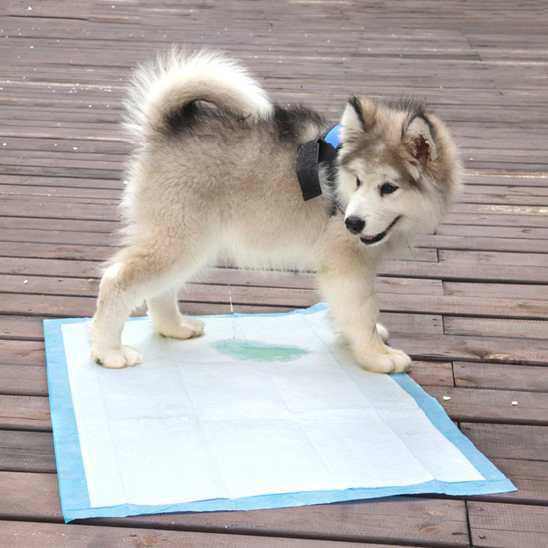 Super upijajuće mekane pelene za kućne ljubimce Jastučići za dresuru pasa Jednokratna zdrava podloga za pelene za mačke Pelene za pse Podloga za kavez Potrepštine za kućne ljubimce