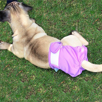 Куче за домашни любимци Меки дишащи бикини Пелени Перящи се шорти Physiology Shorts за необучени кученца Женски кучета в топлинни доставки, XS-XL