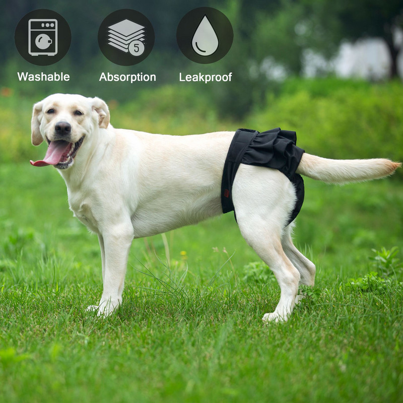 Pārnēsājamas mājdzīvnieku biksītes Bikses Atkārtoti lietojamas mazgājamas suņu autiņbiksītes Ļoti uzsūcošas, necaurlaidīgas sieviešu autiņbiksītes Pamperi mājdzīvnieku meiteņu suņu apakšveļa