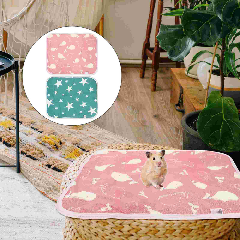Cage Guinea Liner Pad Hamster Pee Allapanu Lemmikloomade padjad Matid Loomade pissuaari Siil Fliis Pestavad Matid Rotipadjad Treeningvoodrid
