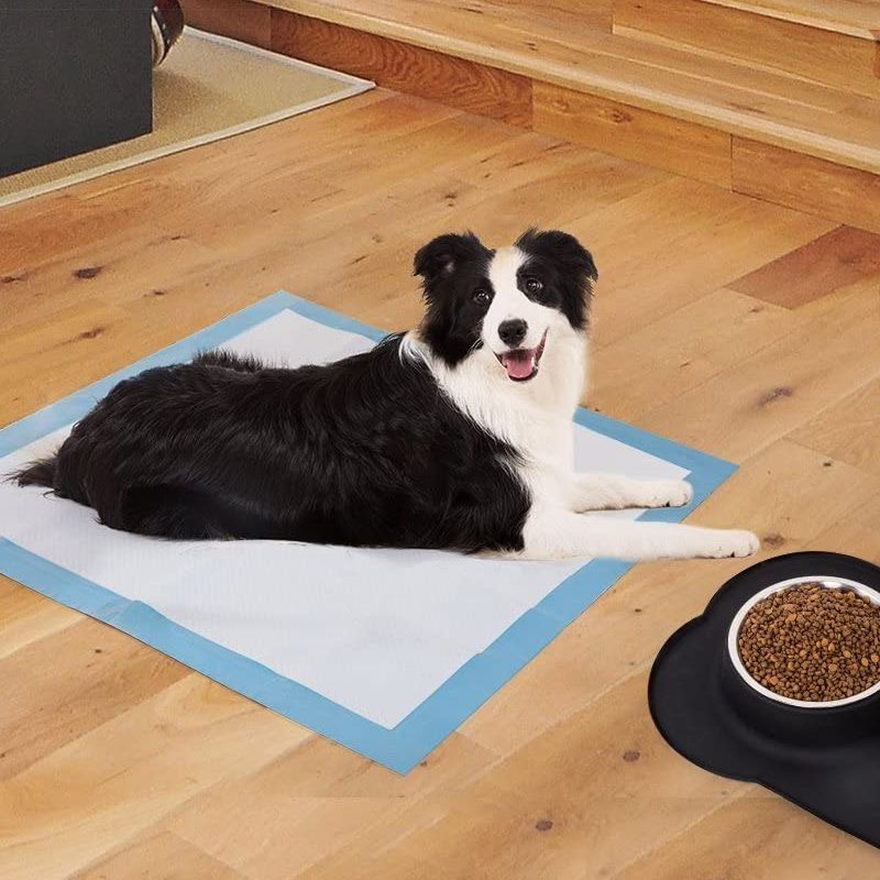 Подложки за обучение на кучета Супер абсорбиращи пелени за домашни любимци Еднократна здравословна чиста подложка за пелени за домашни любимци Консумативи за млечни пелени