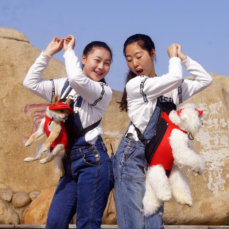 Prijenosni podesivi ruksak za kućne ljubimce Prednji ruksak za kućne ljubimce za male srednje pse Mačke Putna torba Proizvodi Dodaci