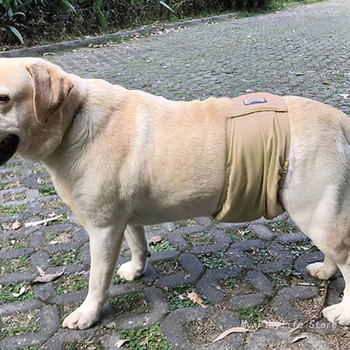Големи кучешки пелени Санитарни физиологични панталони Перящи се бельо за мъжки кучета Кучета за домашни любимци Куче бельо за многократна употреба