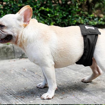 Големи кучешки пелени Санитарни физиологични панталони Перящи се бельо за мъжки кучета Кучета за домашни любимци Куче бельо за многократна употреба