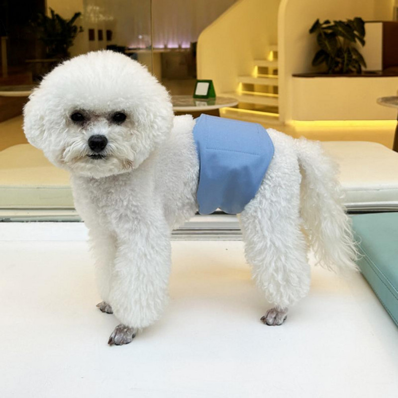 Korisno donje rublje za kućne ljubimce, pelene za pse, otporne na curenje, lako za nošenje, protiv uznemiravanja