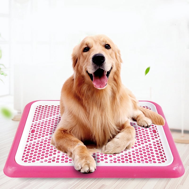 Prijenosni WC za dresuru pasa Za kućne pse Kućica za male kućne ljubimce za mačke koja se može prati Kutija za mačji pijesak Držač jastučića za štene Pladanj Potrepštine za kućne ljubimce