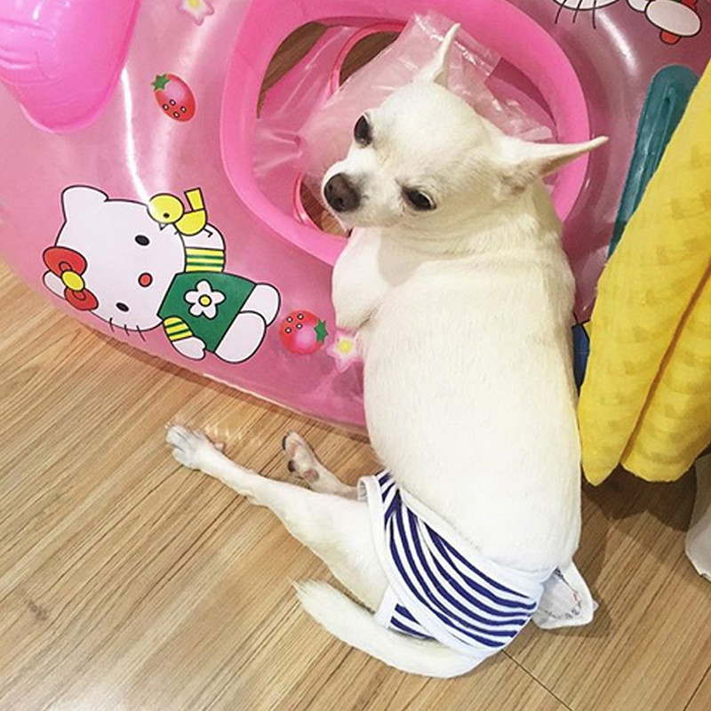 Odjeća za pse Physiological Pants Prugasti Teddy Podloška za menstruaciju za pse Gaćice Odjeća za kućne ljubimce Proizvodi Dodaci