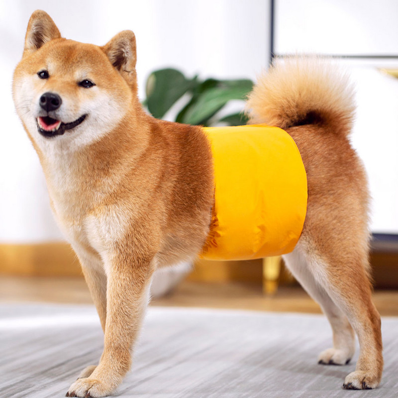 Trake za pseći trbuh Pelene za muške pse Perive trake za trbuh za muške pse Udobne višekratne trake za trbuh za muške pse za pseće štene Pet