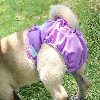 Пелени за домашни кучета Перящи се шорти Physiology Меки дишащи бикини за необучени кученца Женски кучета с топлозахранване, XS-XL