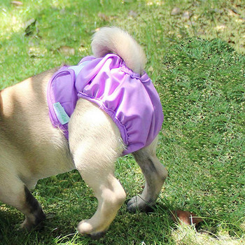 Бельо за домашни любимци Физиологични панталони за женски малки кучета Перящи се издръжливи пелени за кучета Бельо Къса пелена XS-XL