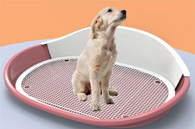 Noša za pse Prijenosni mačji WC za pse Posuda za pijesak za štene Dresura pasa WC za mačke Dresura psa za mokrenje Noćna posuda Proizvodi za čišćenje kućnih ljubimaca Proizvodi za pse