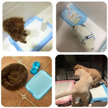 Δίσκος τουαλέτας για σκύλους εσωτερικού χώρου με πλέγμα ανθεκτικό πλαστικό κουτί απορριμμάτων κουταβιού Εκπαιδευτικό κουτί τουαλέτας για σκύλους γάτας Αξεσουάρ μαξιλαριών εκπαίδευσης γιογιό Αξεσουάρ Προμήθειες για κατοικίδια