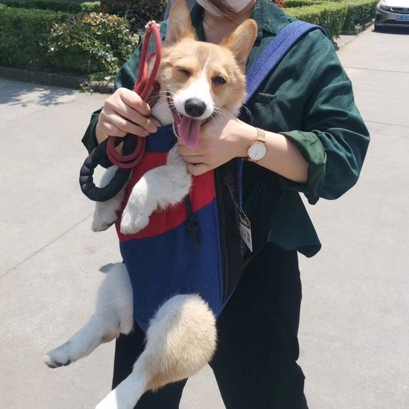 Torba za nošenje mačaka, ruksak za nošenje pasa, štene, crtani ljubimac, torba za nošenje na prednjem ramenu, torbica, torbica za putovanja, mali pas, mačka, torbe za nošenje