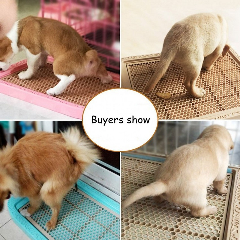 2023. Nova plastika za navikavanje na WC za pse sa stupom Teddy Bichon Umivaonik za male pse Noćna posuda Ravna kahlica Sredstva za čišćenje kućnih ljubimaca