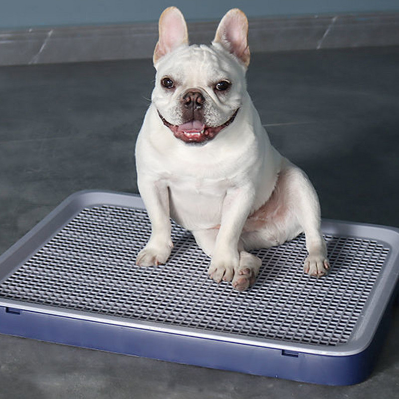 Šunų puodukas, nešiojamas šunų šlapinimasis, dresūra katėms, šunims, tualetas šuniukų kraiko padėklas kačių tualetas lovos indas šunų šlapinimosi padėklų laikiklis Šunų gaminiai