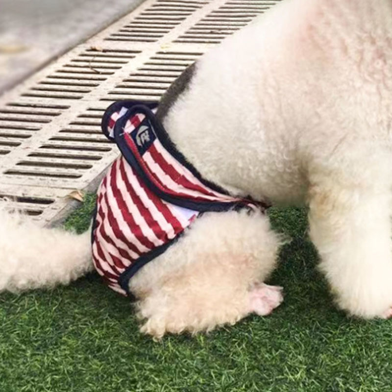 1 gab Suņu fizioloģiskās bikses Autiņš Stripe Sanitāri Mazgājamas Sieviešu suņu Biksītes Šorti Apakšveļa Biksītes Suņiem Sanitārās Biksītes