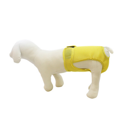 Kratke hlače za pse Puppy Physiological Pants Pelena Donje rublje za kućne ljubimce za male pse srednje veličine