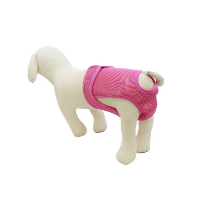 Kratke hlače za pse Puppy Physiological Pants Pelena Donje rublje za kućne ljubimce za male pse srednje veličine