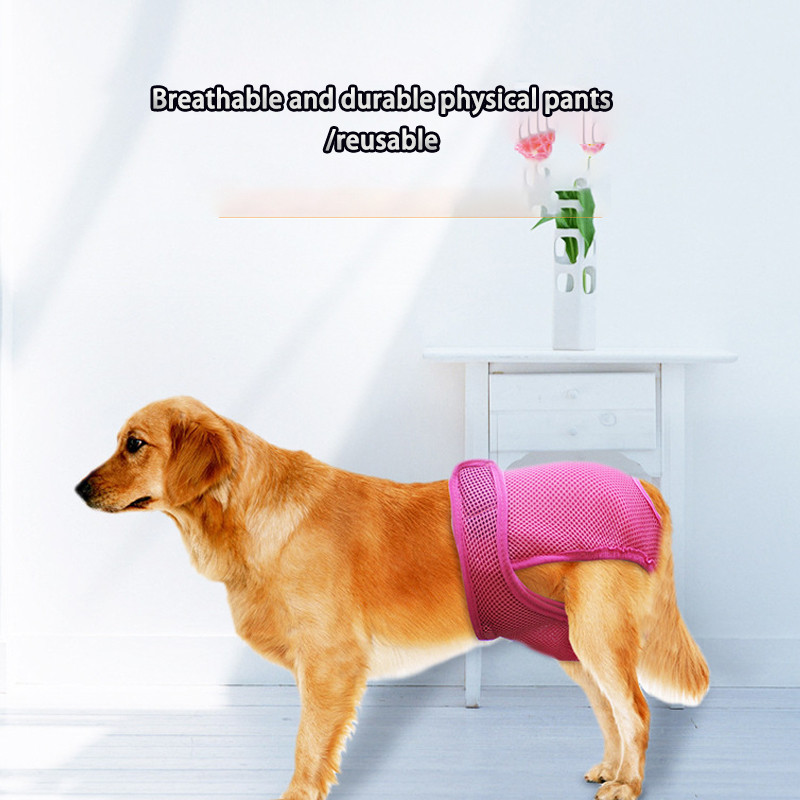 Kratke hlače za pse Puppy Physiological Pants Pelena Donje rublje za kućne ljubimce za male pse srednje veličine