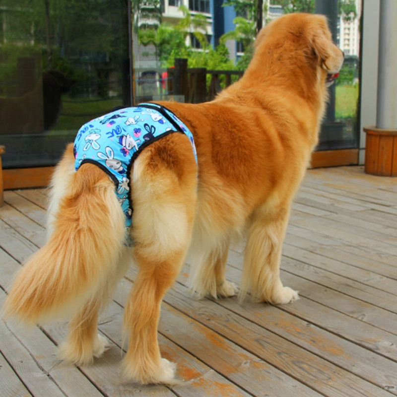 67JE Kombinezon s pelenama za pse koji se može prati Ženski Ljeto Proljeće Higijenske gaćice Kratke hlače Doggies za višekratnu upotrebu Hlače za inkontinenciju