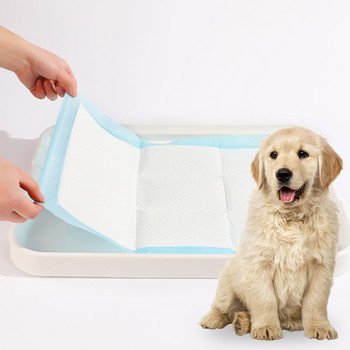 2022 Νέα προϊόντα καθαρισμού κατοικίδιων ζώων Εκπαίδευση πλαστικού μεγάλου χώρου Καθαρισμός τουαλέτας για γάτες και σκύλους