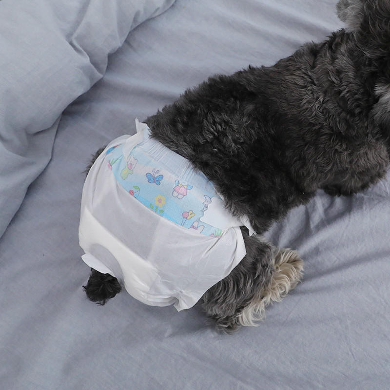 Hoopet Igračka za uže za pse Pas za žvakanje Zvučne igračke Četkica za pseće zube Interaktivna igračka za kućnu upotrebu Dodaci za velike male ljubimce