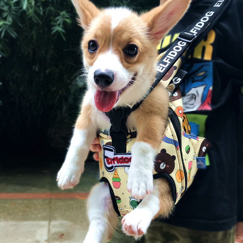 Franču buldogu mājdzīvnieku mugursomas pārnēsātājs kaķiem kucēniem suņiem maziem dzīvniekiem priekšpuse aizmugurē plecu ceļojumu komforta soma Para Perro pārnēsāšanai