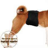 Psihološki remen za kućne ljubimce Muški pas Poseban remen za fiziološke pse za pse Pelene za kućne ljubimce